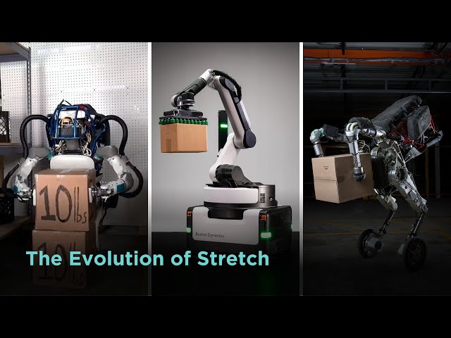 Stretch warehouse robot